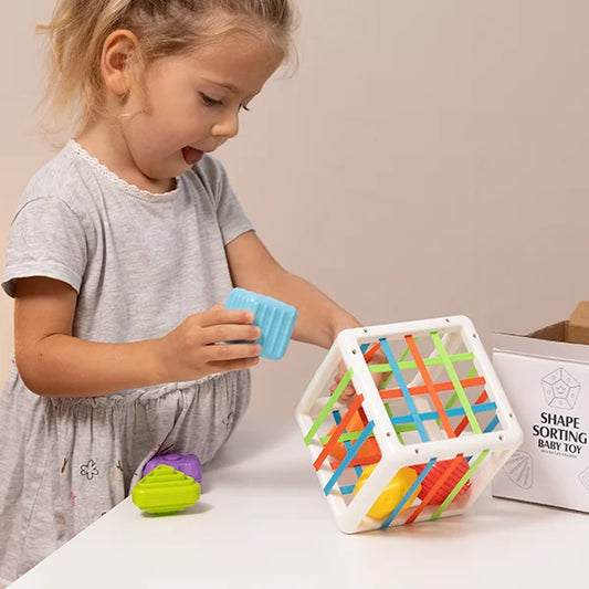 Montessori Sorter Cube